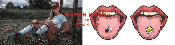 хмурый Арсеньев