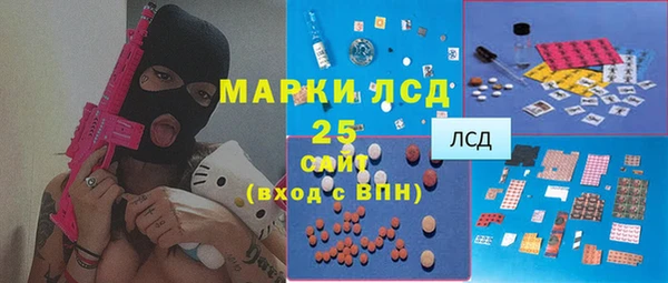 хмурый Арсеньев